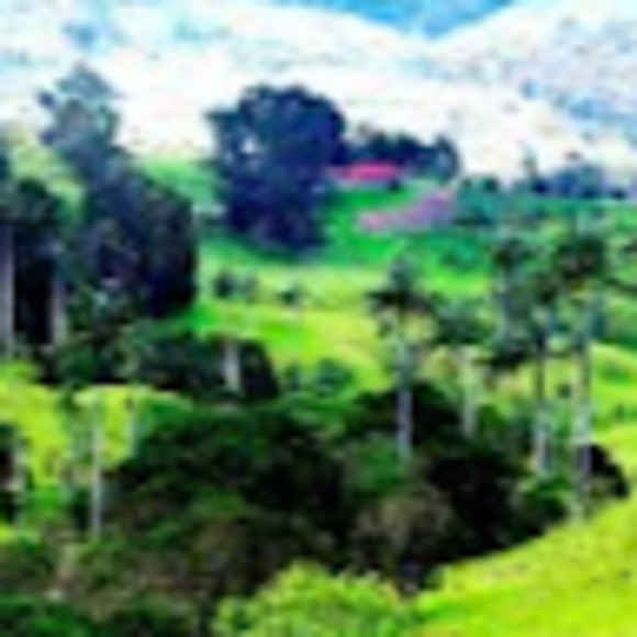 Meet your Posher, Gina - Picture 1 of 1